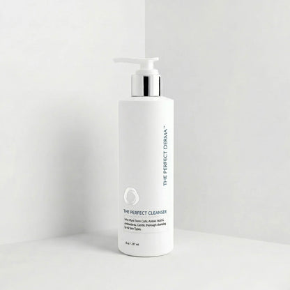 THE PERFECT CLEANSER